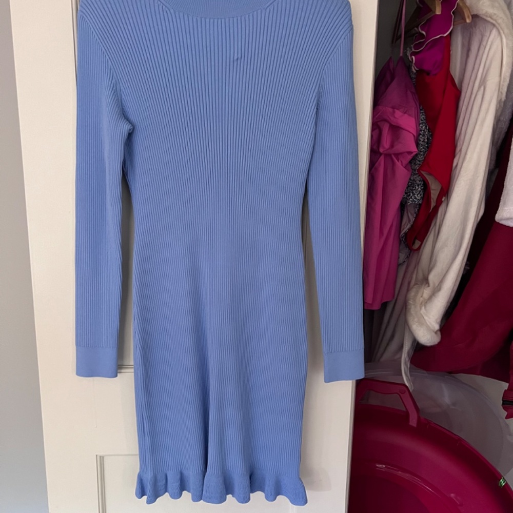 JCrew Ruffle Mini Sweater Dress - Picture 2 of 3